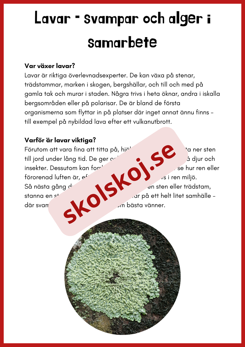Svampar lavar och mikroorganismer - Årskurs 4 - 6