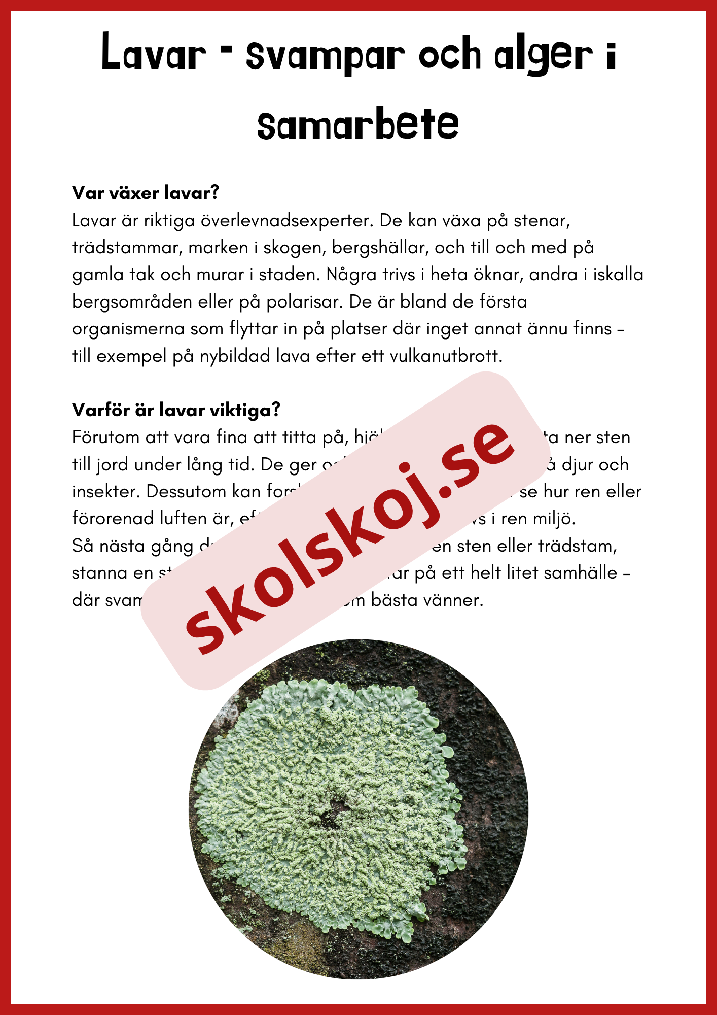 Svampar lavar och mikroorganismer - Årskurs 4 - 6