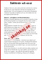 Svampar lavar och mikroorganismer - Årskurs 4 - 6