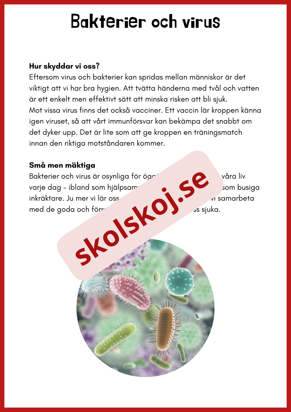 Svampar lavar och mikroorganismer - Årskurs 4 - 6