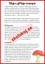 Svampar lavar och mikroorganismer - Årskurs 4 - 6