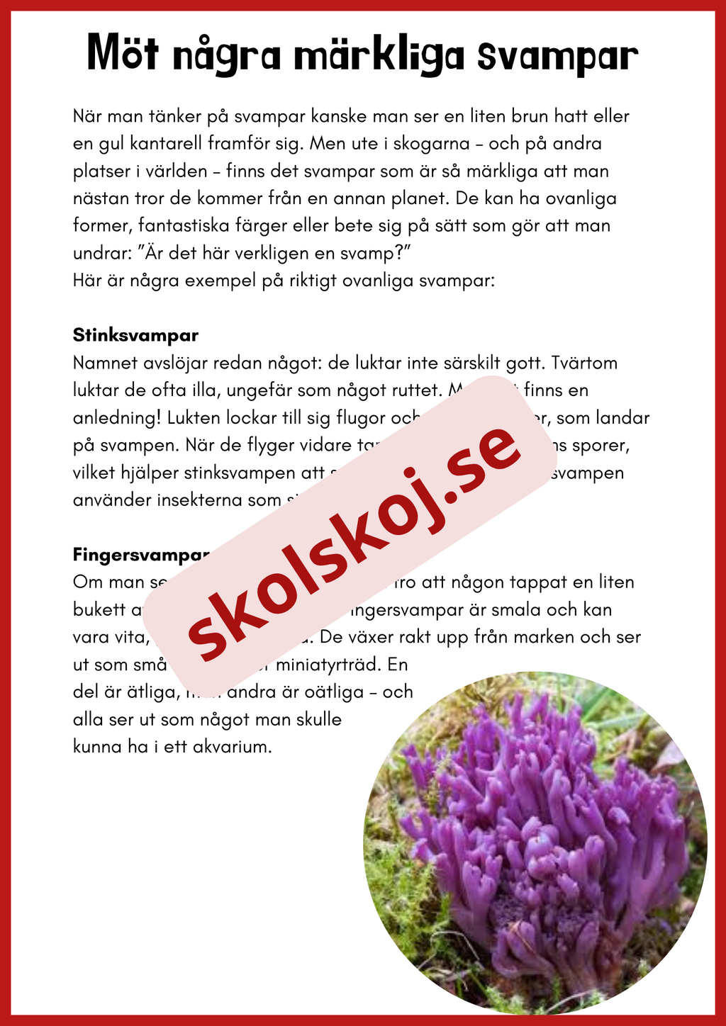Svampar lavar och mikroorganismer - Årskurs 4 - 6