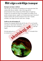 Svampar lavar och mikroorganismer - Årskurs 4 - 6