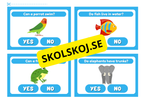 Yes or No - Djurkort