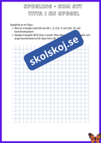 Skala och symmetri - Årskurs 7 - 9