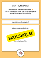 Att lära känna min SSDM
