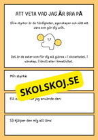 Att lära känna min SSDM