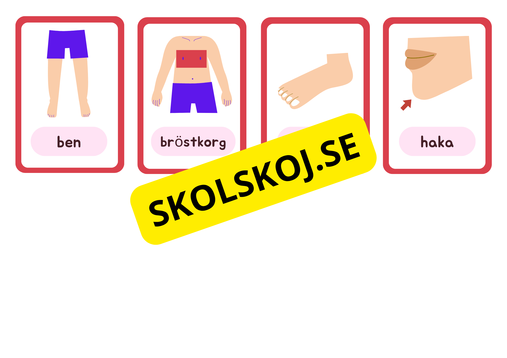Flashkort - Kroppsdelar - A5 format