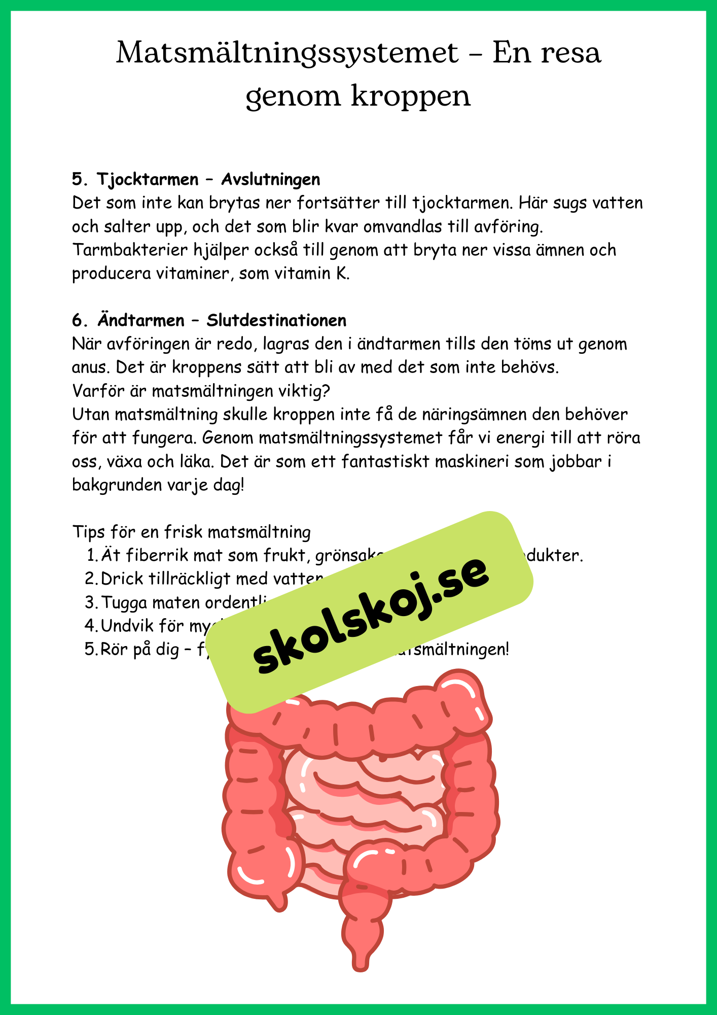 Matsmältningssystemet