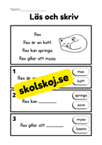 Läs och skriv - Läsförståelse