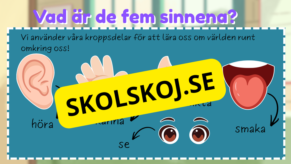Upptäck våra fem sinnen - Årskurs 1 - 3
