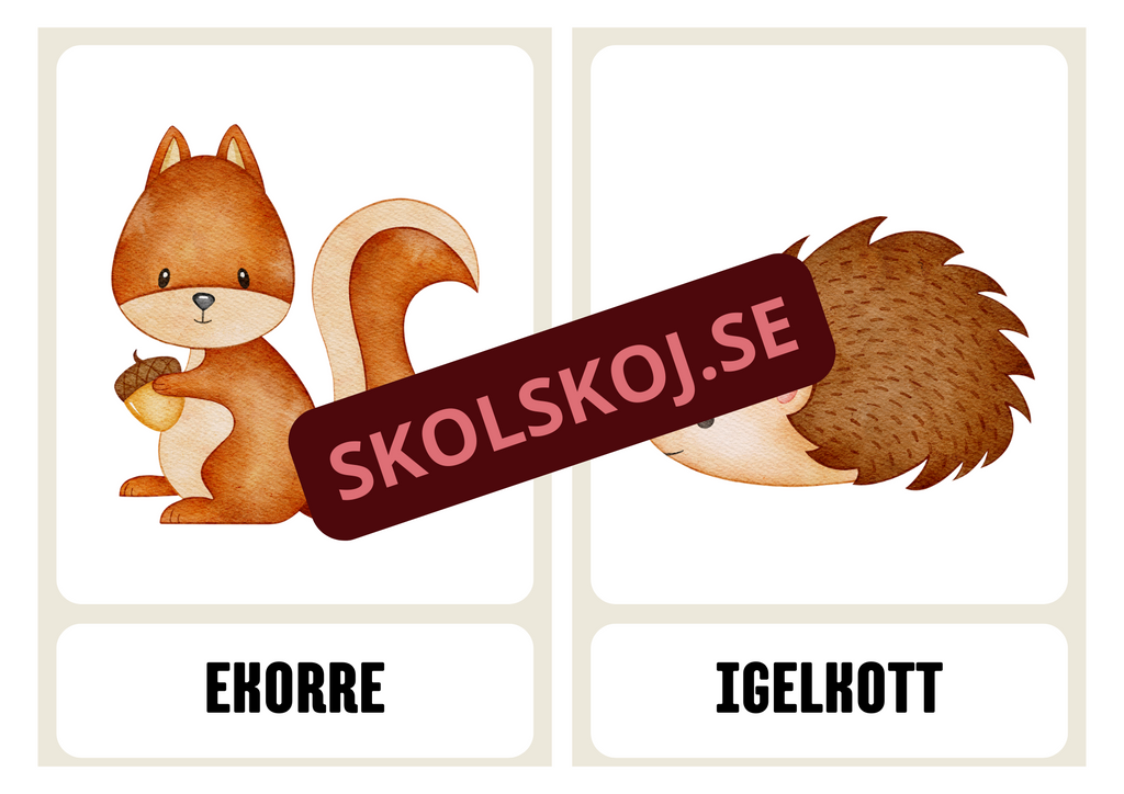 Flashkort - Djur - A3 storlek
