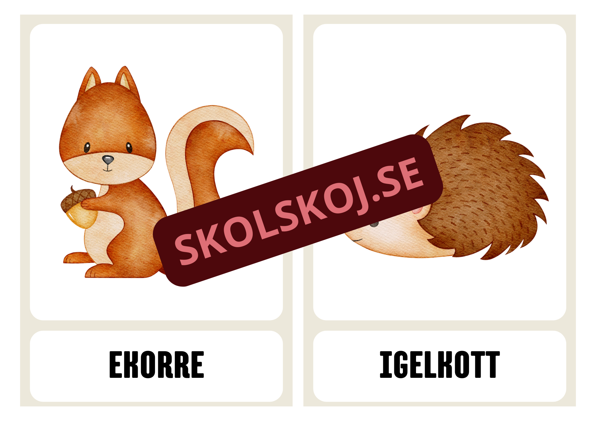 Flashkort - Djur - A3 storlek
