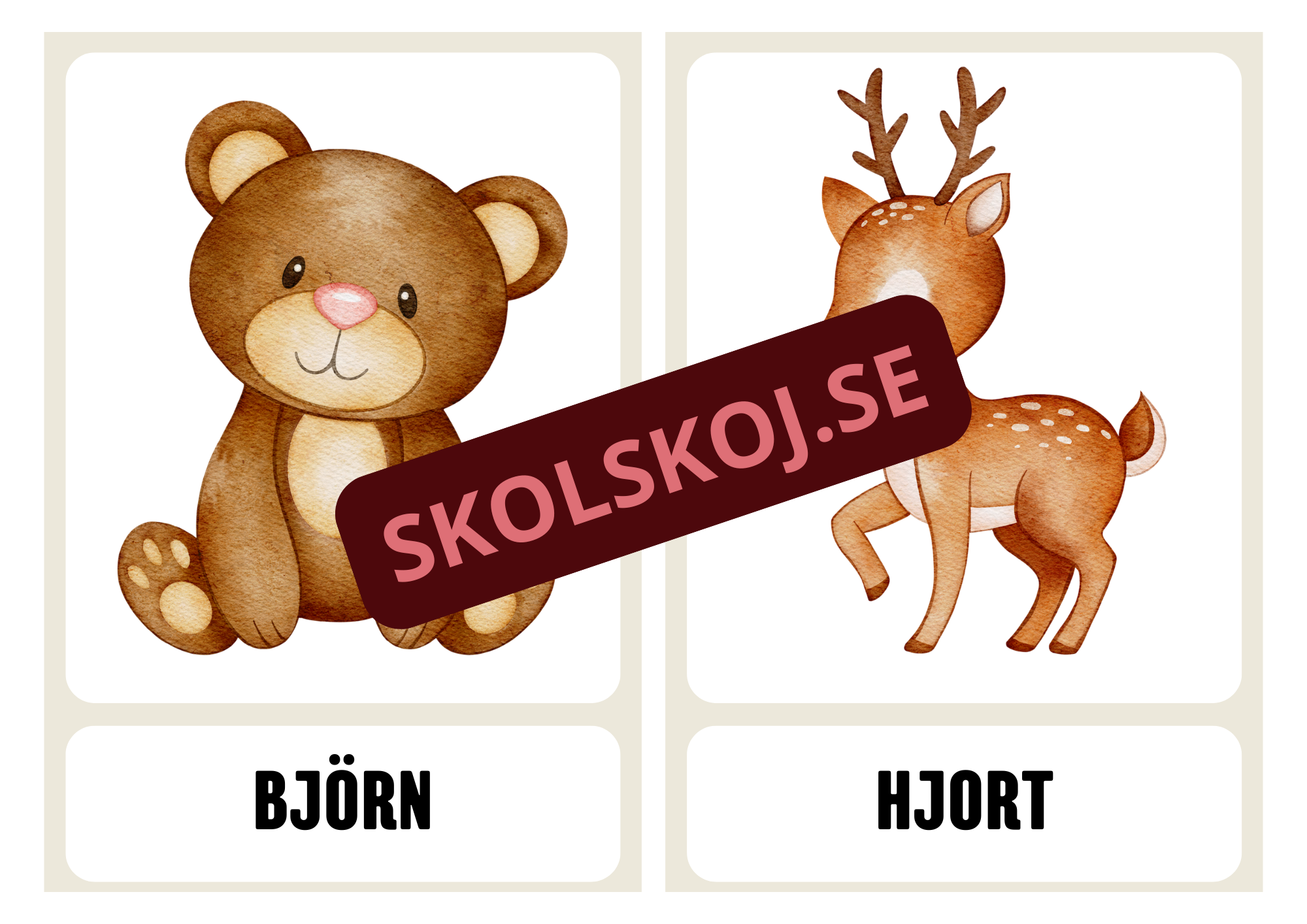 Flashkort - Djur - A3 storlek