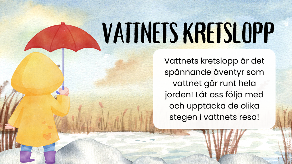 Vattnets kretslopp för små upptäckare + frågor