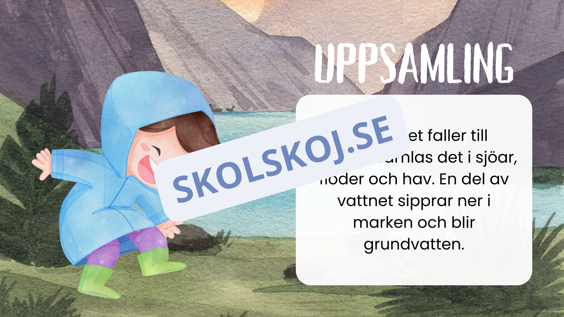 Vattnets kretslopp för små upptäckare + frågor