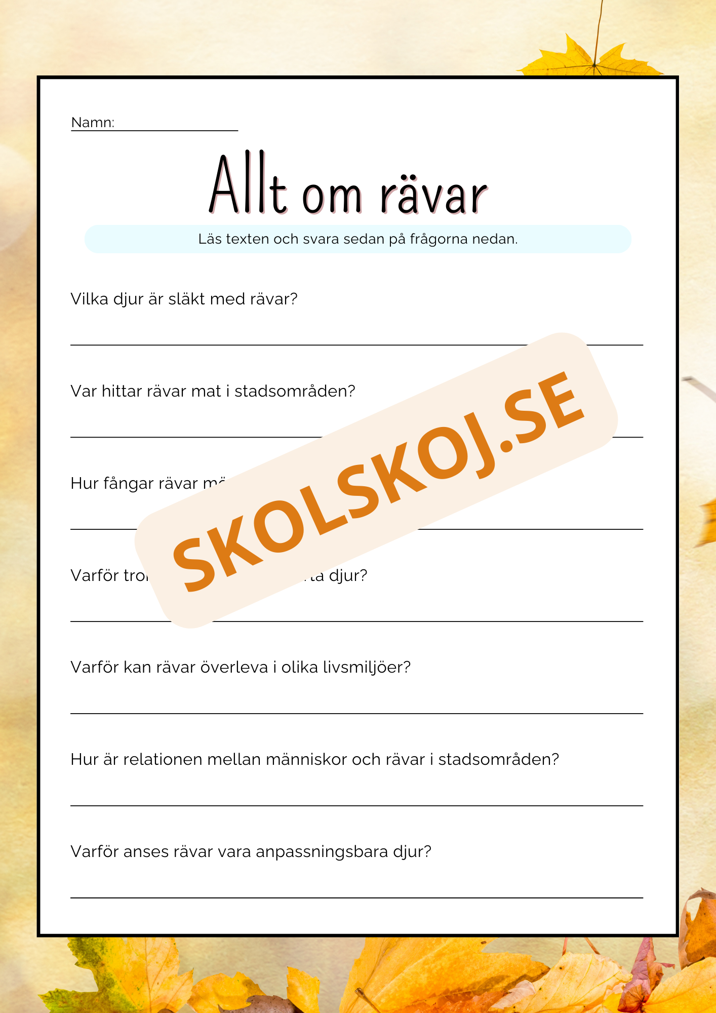 Allt om rävar - Läsförståelse