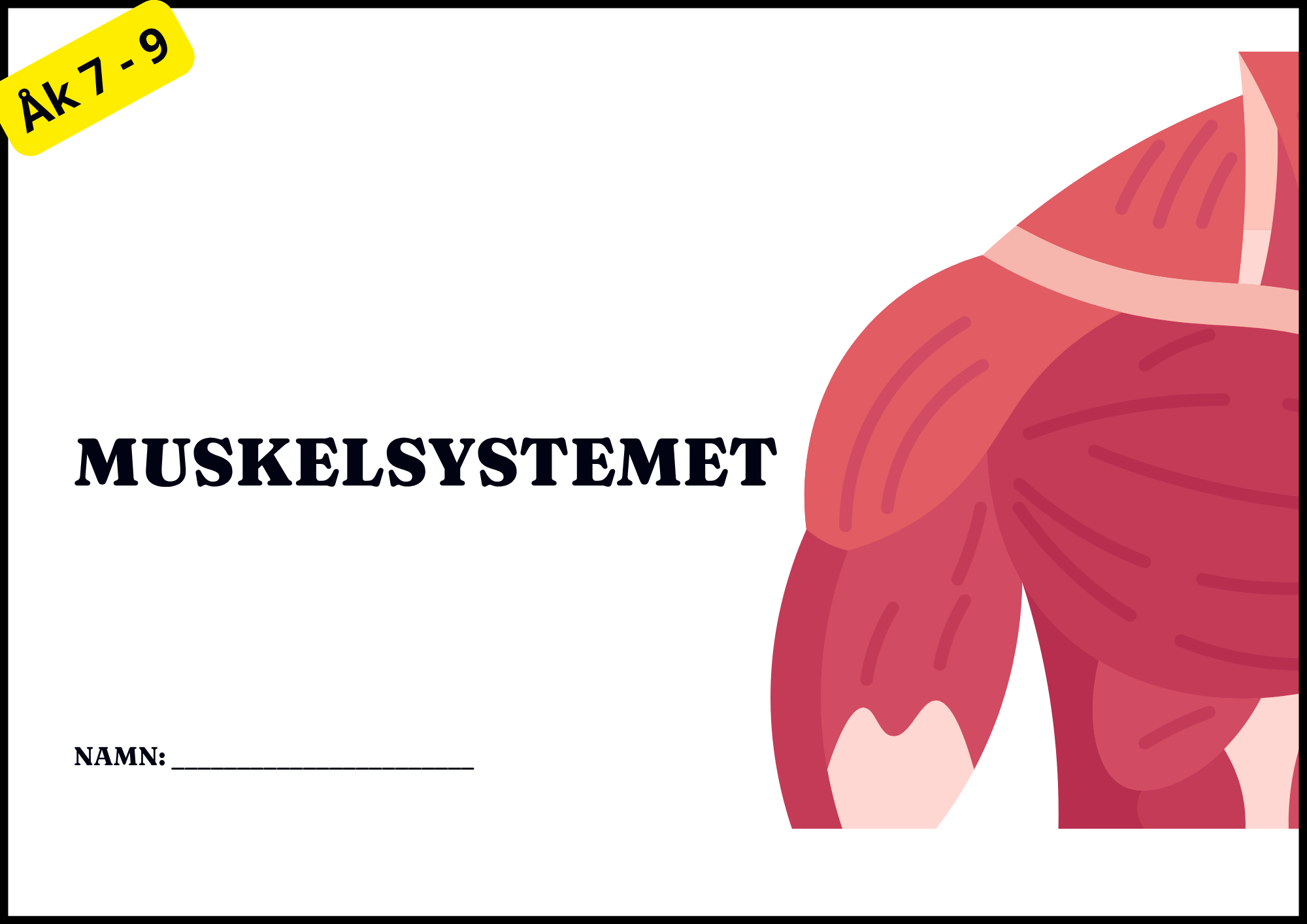 Muskelsystemet - Årskurs 7 - 9