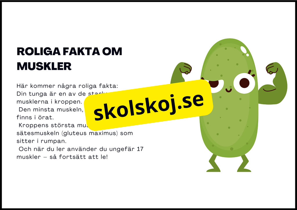 Muskelsystemet - Årskurs 7 - 9