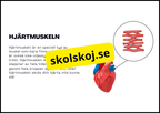 Muskelsystemet - Årskurs 7 - 9