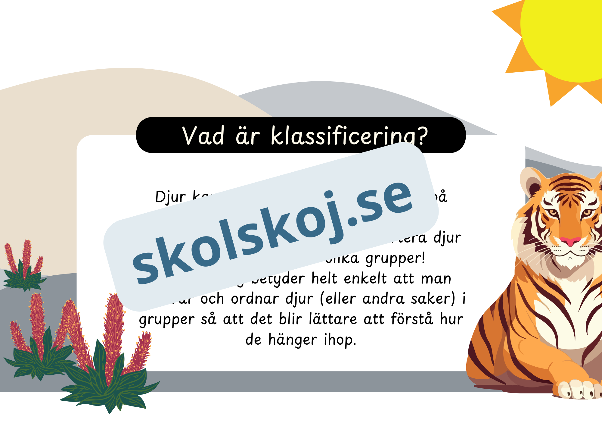 Den levande världen - Ryggradsdjur och ryggradslösa