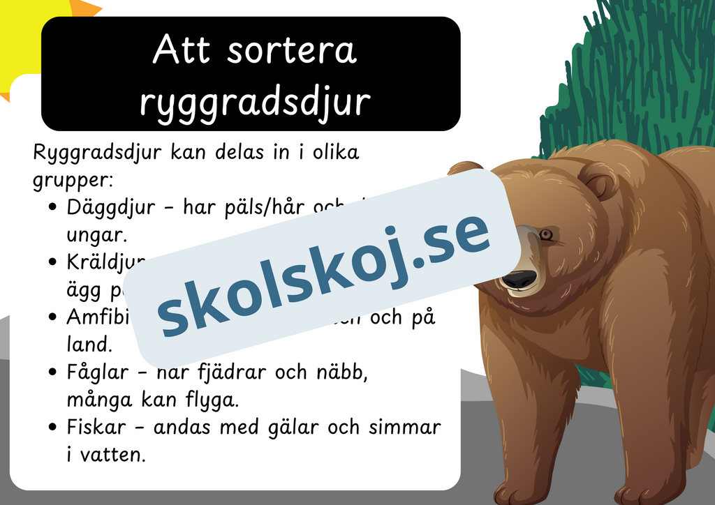 Den levande världen - Ryggradsdjur och ryggradslösa