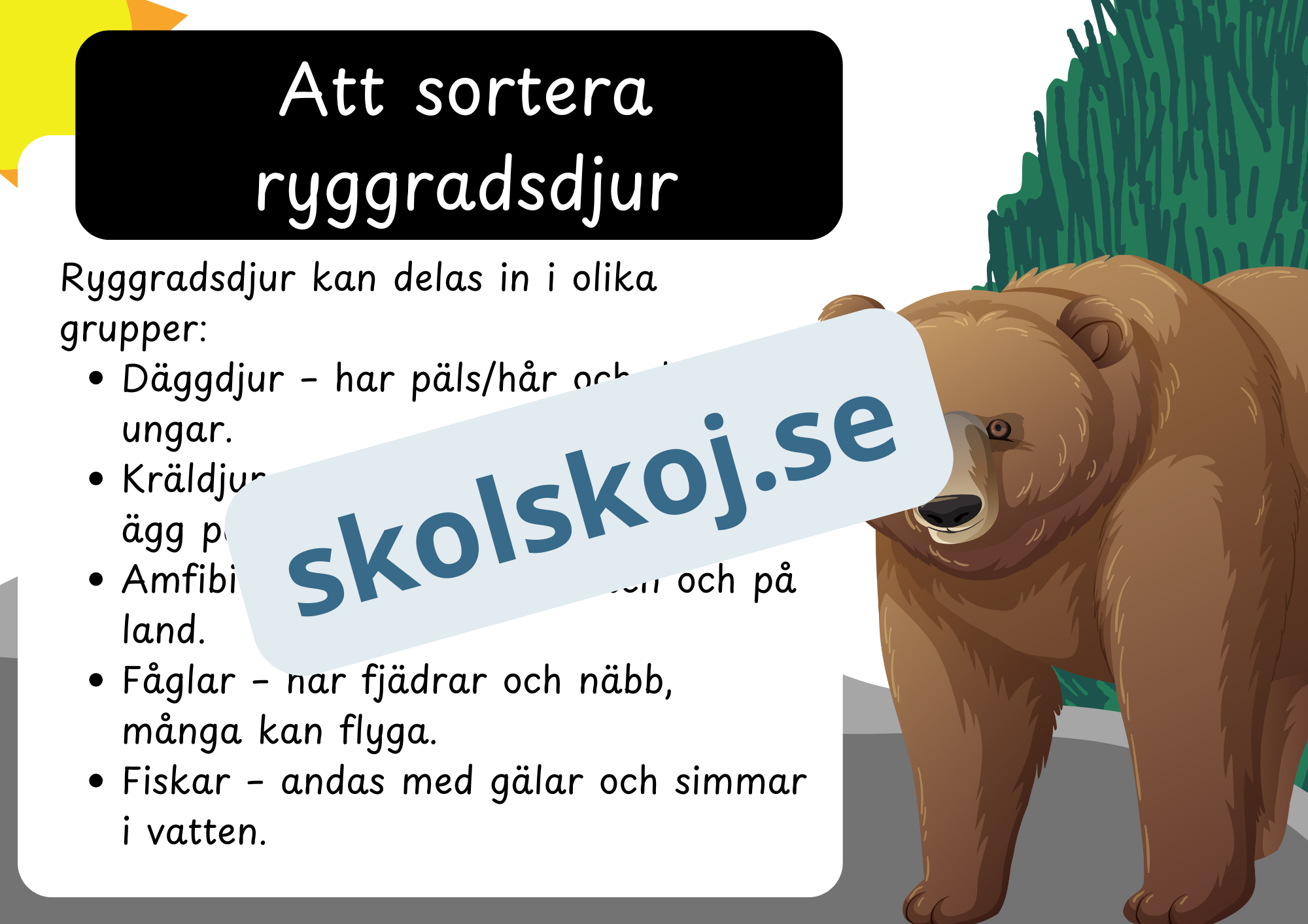 Den levande världen - Ryggradsdjur och ryggradslösa