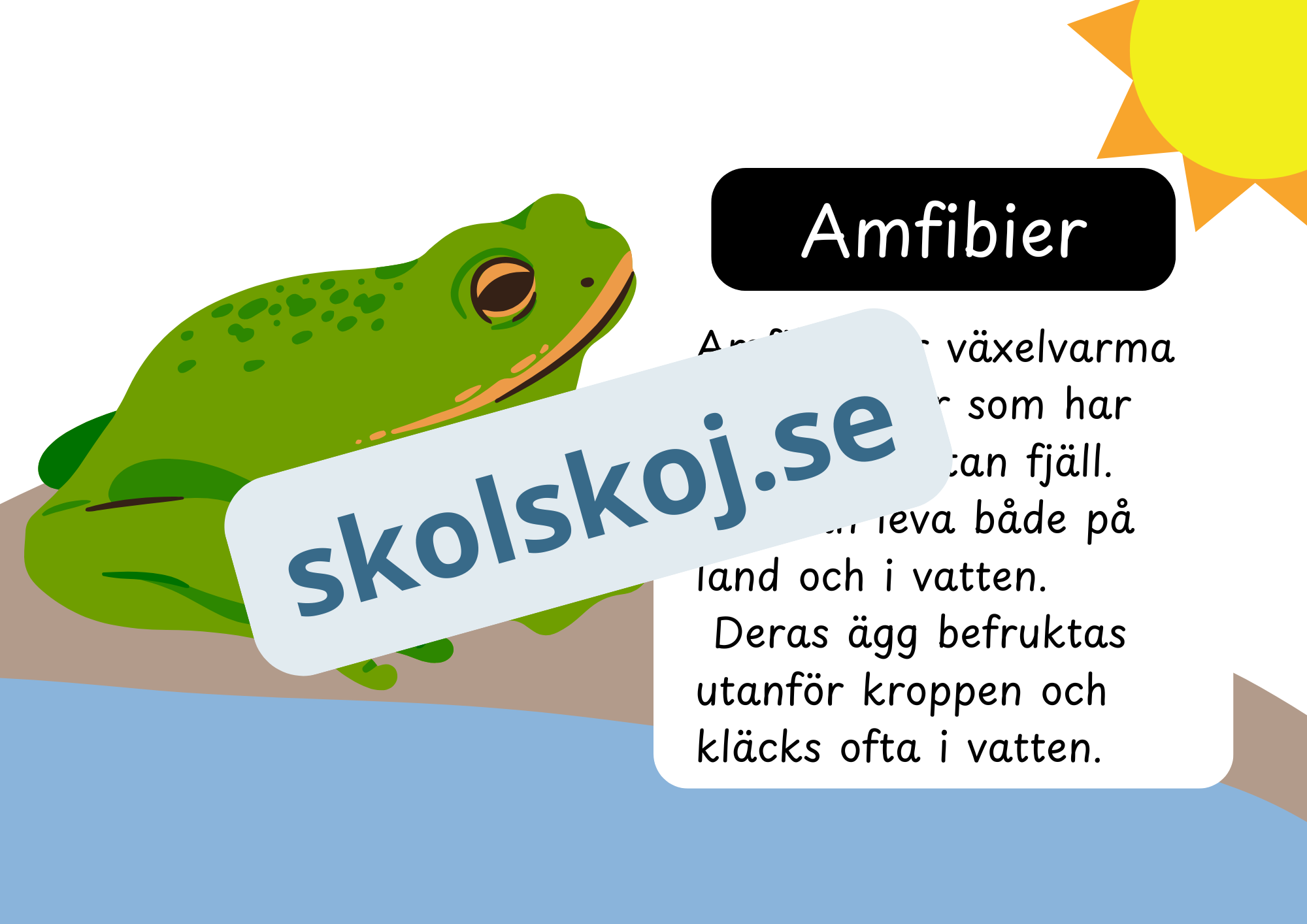 Den levande världen - Ryggradsdjur och ryggradslösa
