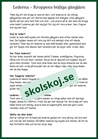 Människokroppen - Så funkar du - Årskurs 4 - 6