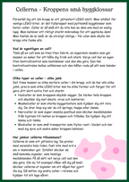 Människokroppen - Så funkar du - Årskurs 4 - 6