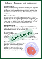 Människokroppen - Så funkar du - Årskurs 4 - 6