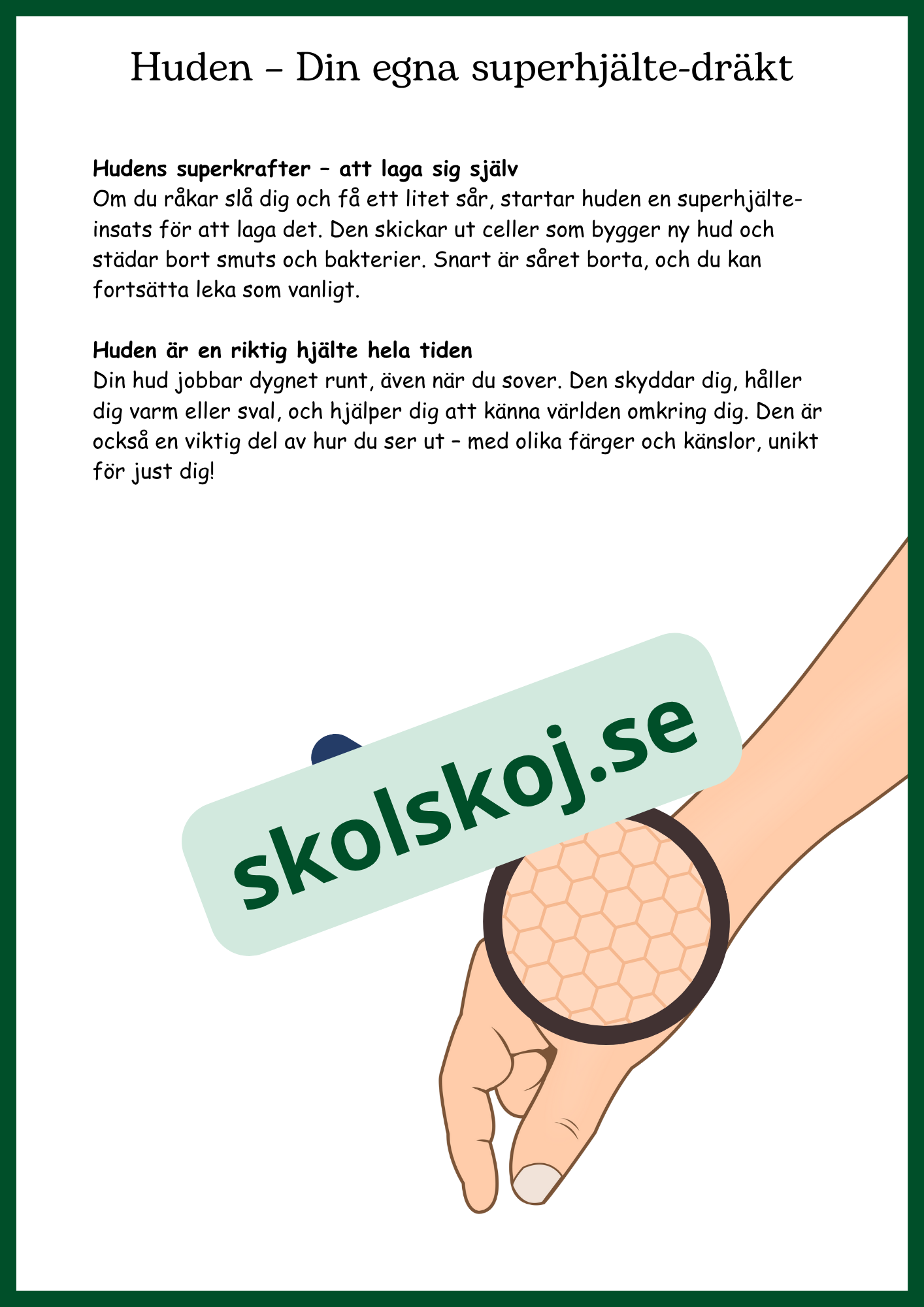 Människokroppen - Så funkar du - Årskurs 4 - 6