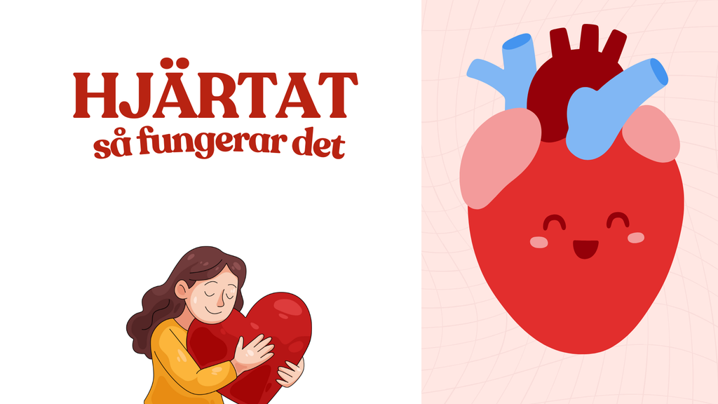Hjärtat - Så fungerar det - Presentation och frågor