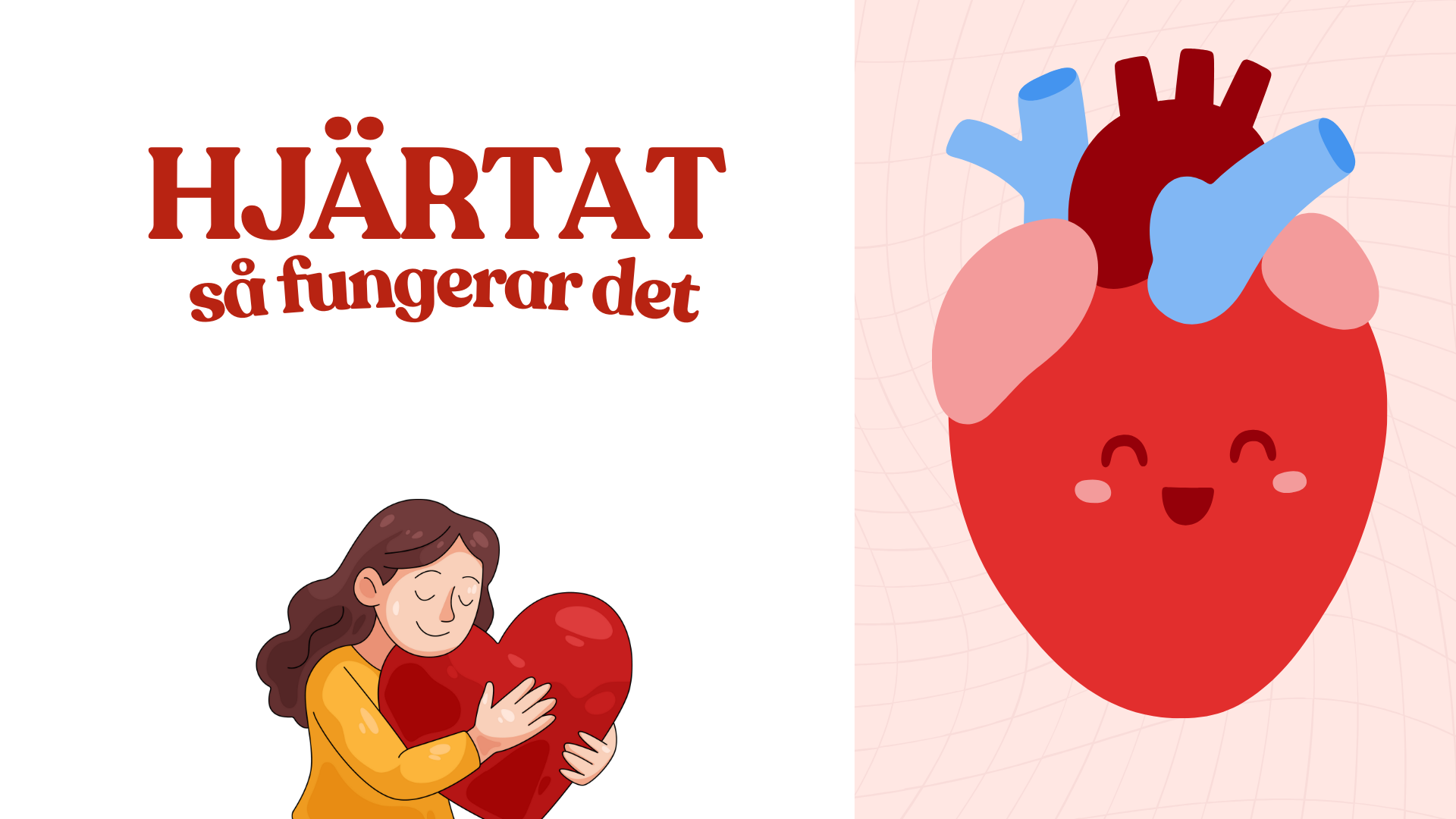 Hjärtat - Så fungerar det - Presentation och frågor