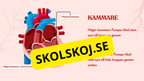 Hjärtat - Så fungerar det - Presentation och frågor