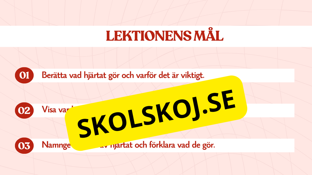 Hjärtat - Så fungerar det - Presentation och frågor