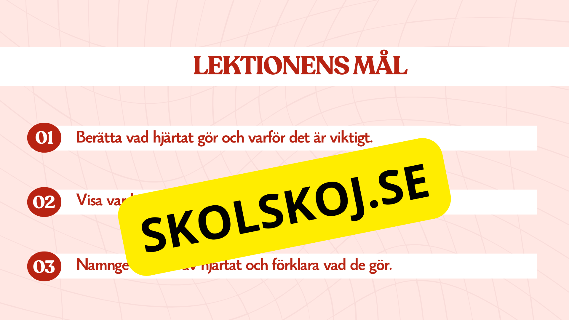 Hjärtat - Så fungerar det - Presentation och frågor