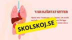 Hjärtat - Så fungerar det - Presentation och frågor