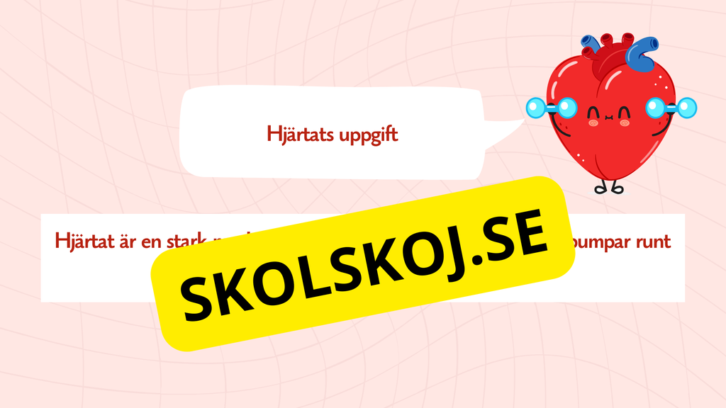Hjärtat - Så fungerar det - Presentation och frågor