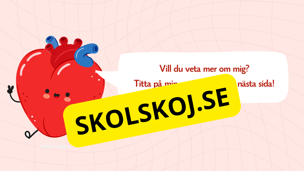 Hjärtat - Så fungerar det - Presentation och frågor