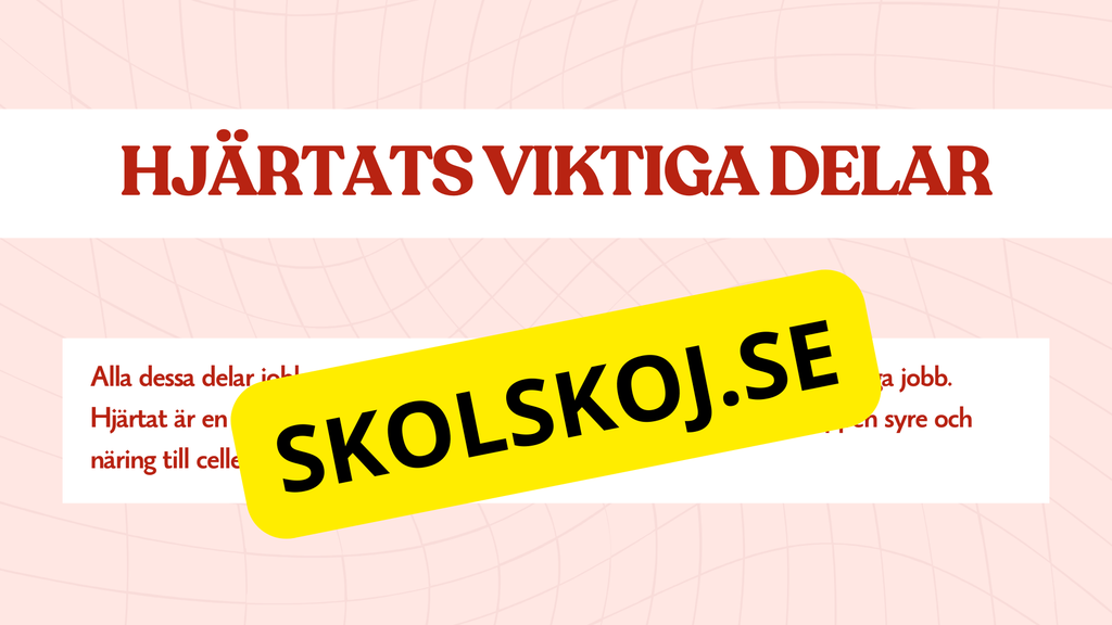 Hjärtat - Så fungerar det - Presentation och frågor