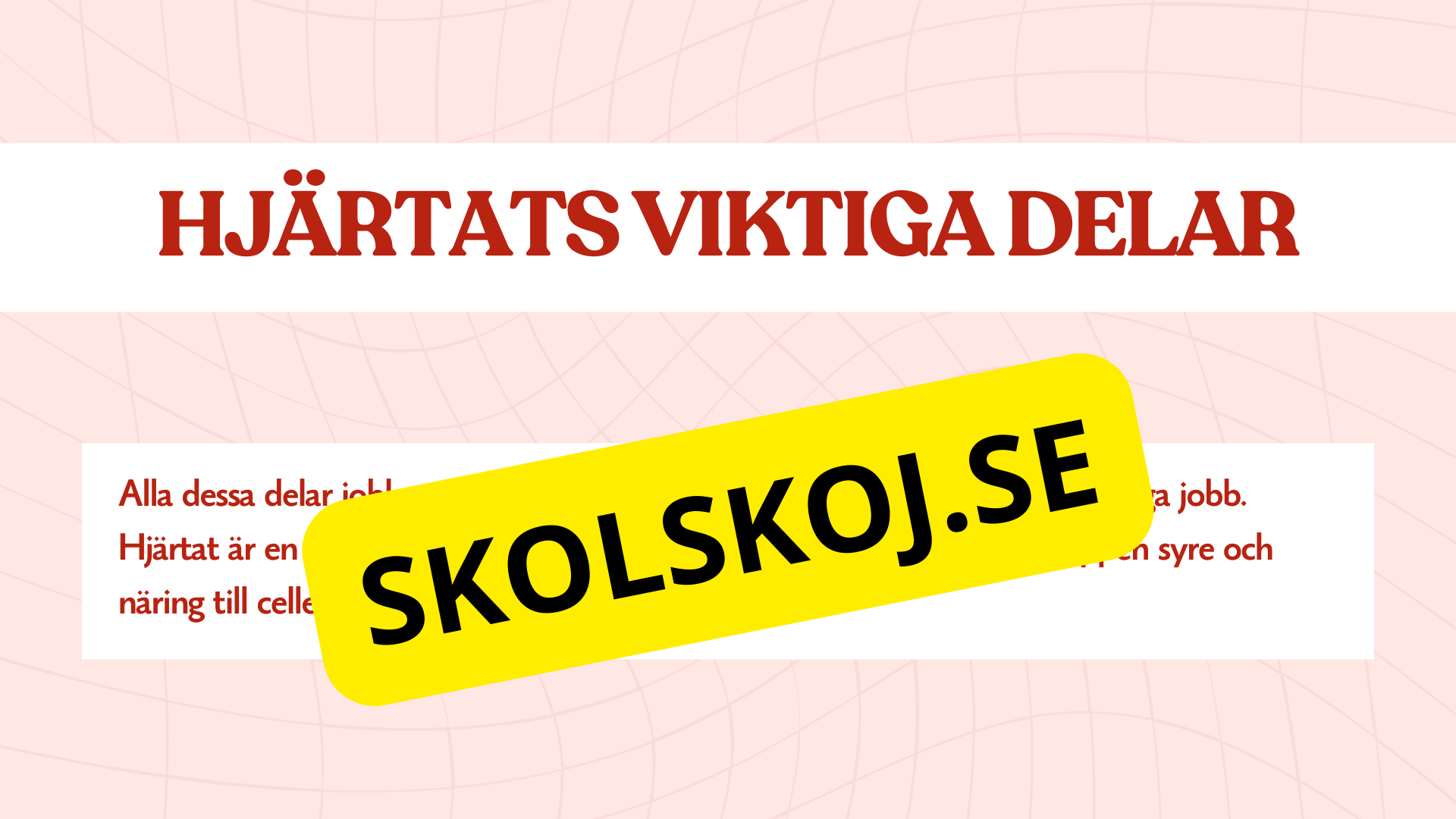 Hjärtat - Så fungerar det - Presentation och frågor