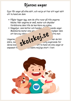 Upptäck naturen - Fsk - Åk 3 + Prov