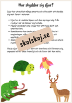 Upptäck naturen - Fsk - Åk 3 + Prov