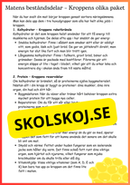 Kroppen behöver energi - Årskurs 4 - 6