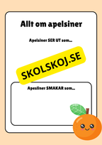 Allt om frukter - Häfte