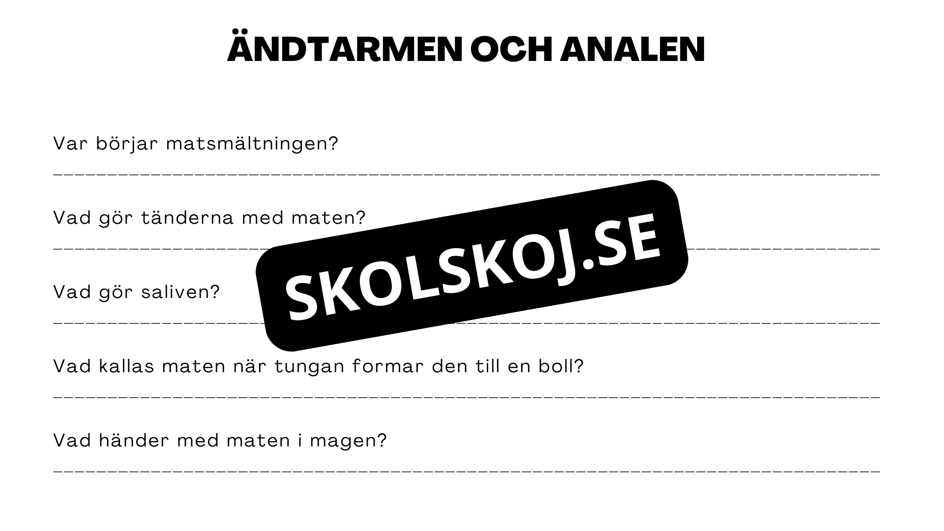 Matsmältningssystemet - Presentation - Frågor