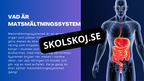 Matsmältningssystemet - Presentation - Frågor