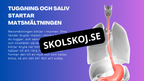 Matsmältningssystemet - Presentation - Frågor