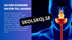 Matsmältningssystemet - Presentation - Frågor
